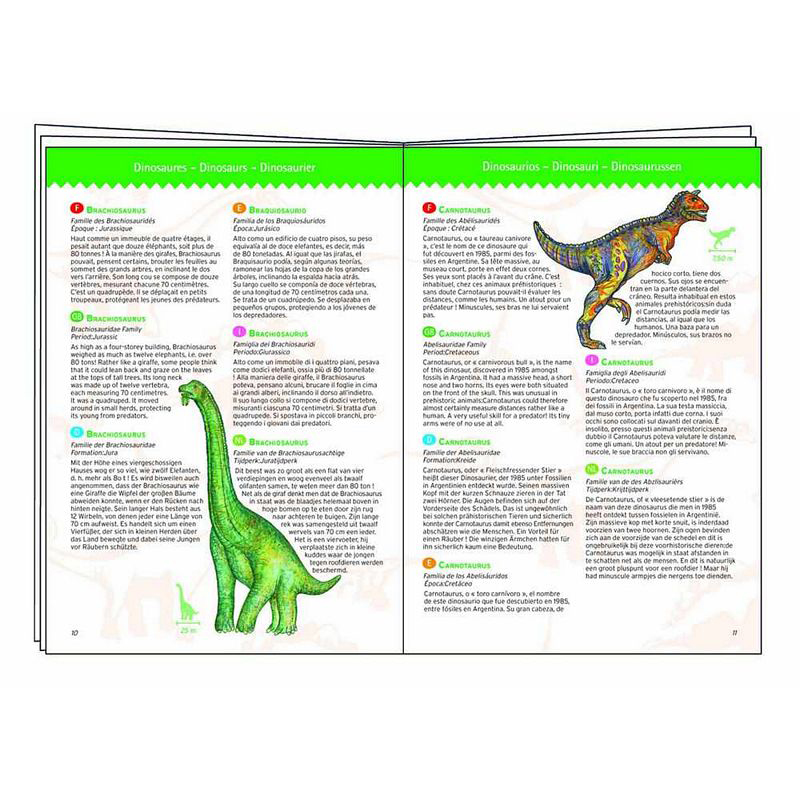 Пазл на наблюдательность и буклет - Динозавры  