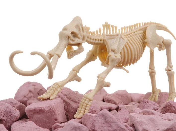 Набор юного археолога - Откопай скелет мамонта  