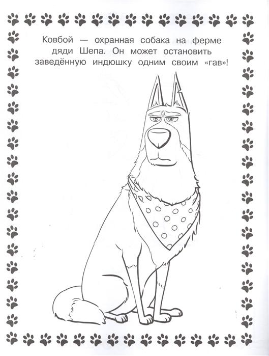 Раскраска с наклейками Тайная жизнь домашних животных 2 – Снежок  