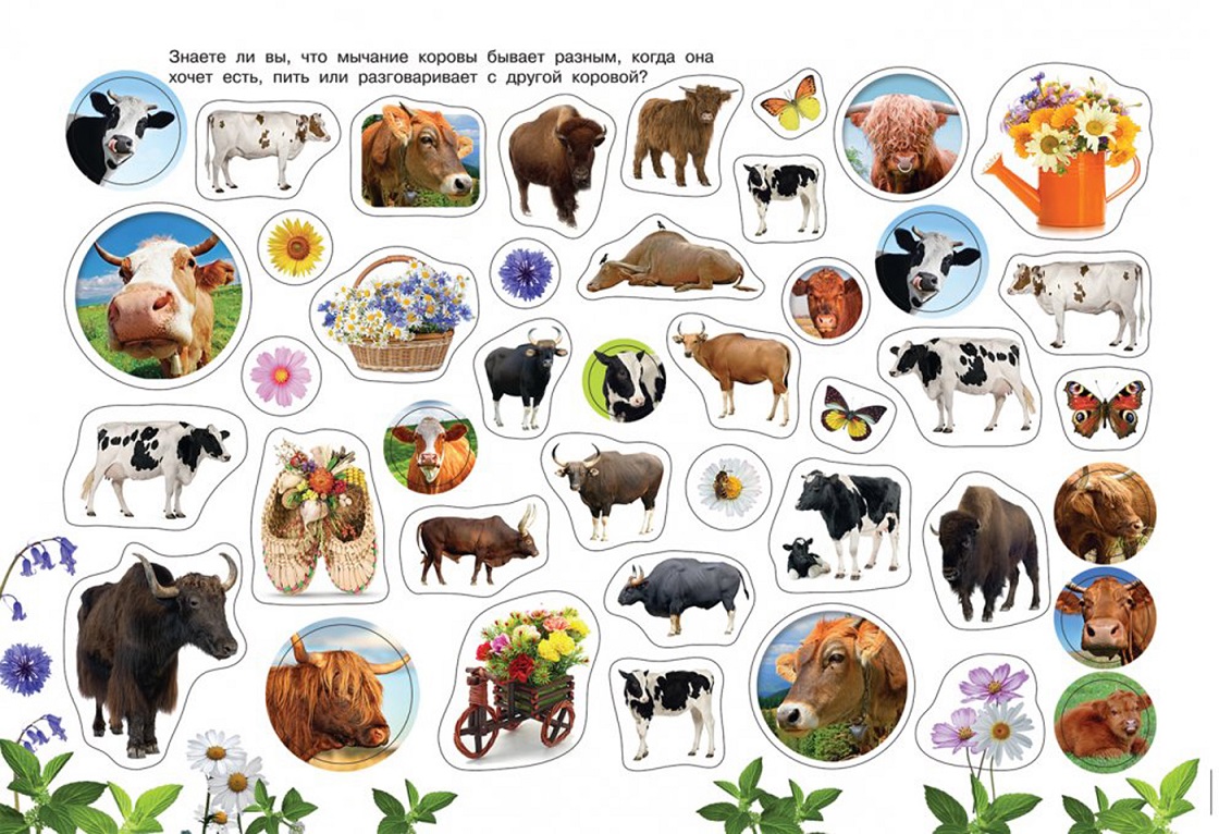 Альбом наклеек - Домашние животные, более 300 наклеек  