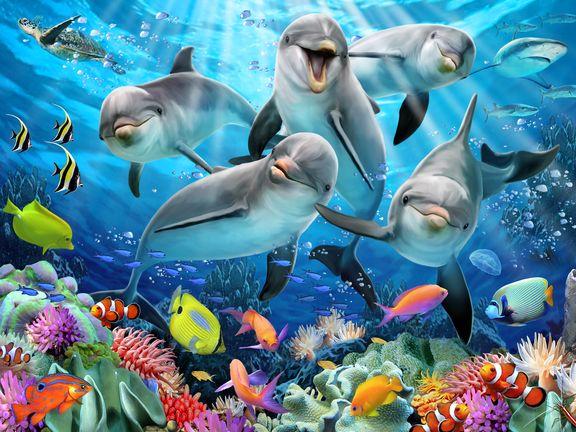 Пазл 3D Дельфиний восторг, 63 детали  