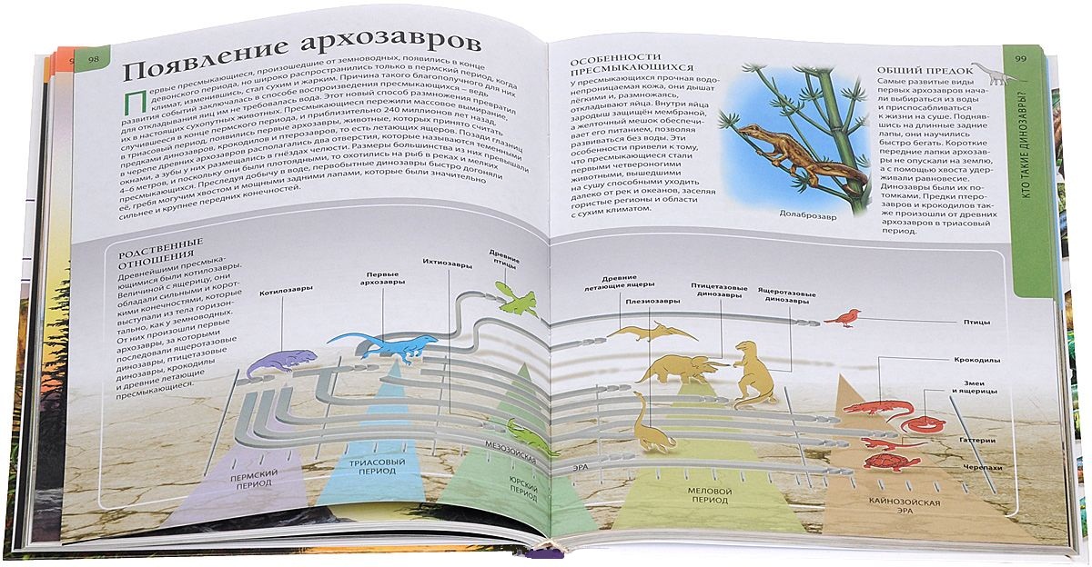 Детская энциклопедия - Динозавры и планета Земля  