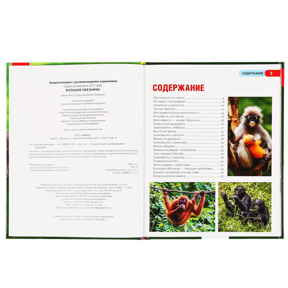 Энциклопедия с развивающими заданиями - Большие обезьяны, формат А4  