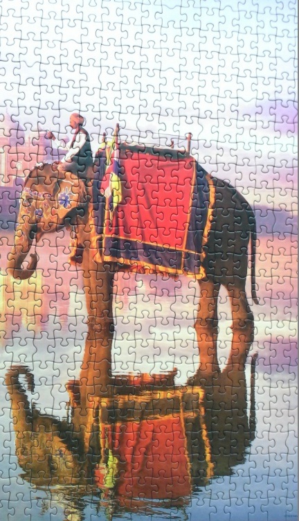 Пазл - Слон у Тадж Махала, 1000 деталей  