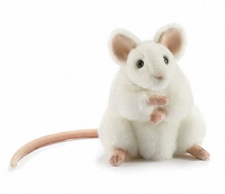 Мягкая игрушка - Белая мышь, 16 см 