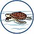 Игровой набор – Аквариум: Морская черепаха с детьми  - миниатюра №1