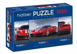 Пазл Premium 260+500+260 элементов – Triptych 3 картинки в 1 коробке: Super car (Hatber, 1020ПЗ2-20413) - миниатюра