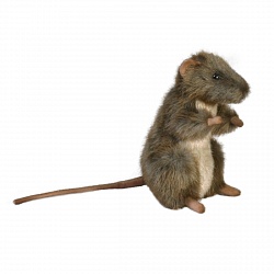 Мягкая игрушка - Мышь, 15 см (Hansa, 4953) - миниатюра