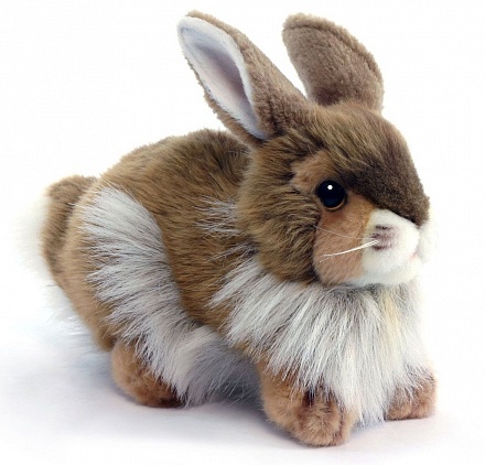 Мягкая игрушка – Кролик, 23 см 