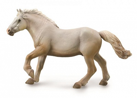 Американская кремовая лошадь, XL 
