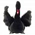 Мягкая игрушка Лебедь черный 45 см  - миниатюра №1