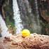 Мяч отскакивающий от воды Waboba Ball Blast  - миниатюра №2
