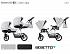 Детская коляска Bebetto 42 2017 для двойни 2 в 1, шасси белая/BIA, цвет – 03  - миниатюра №3