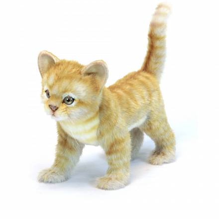Мягкая игрушка - Котёнок стоящий рыжий, 30 см. 