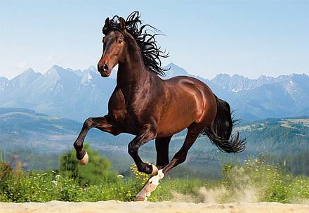 Пазл Лошадь, 1500 элементов 