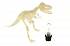 Оживи динозавра - ДНК Тираннозавра  - миниатюра №12