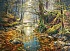 Пазлы Castorland - Осенний лес, 2000 элементов  - миниатюра №1