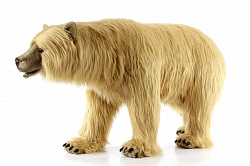 Мягкая игрушка - Сирийский медведь, 110 см (Hansa, 6308) - миниатюра