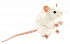 Мягкая игрушка - Белая мышь, 16 см  - миниатюра №1