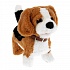 Интерактивный щенок Джим, 22 см, озвученный, ходит, ест косточку  - миниатюра №3